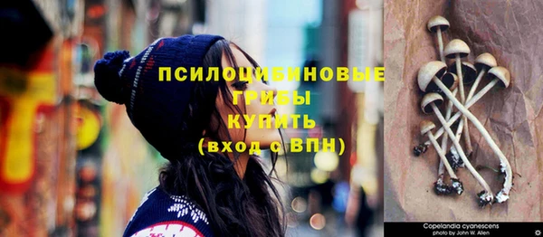 эйфоретик Богородицк