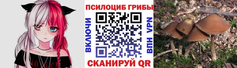 Галлюциногенные грибы Magic Shrooms  Верхний Тагил 